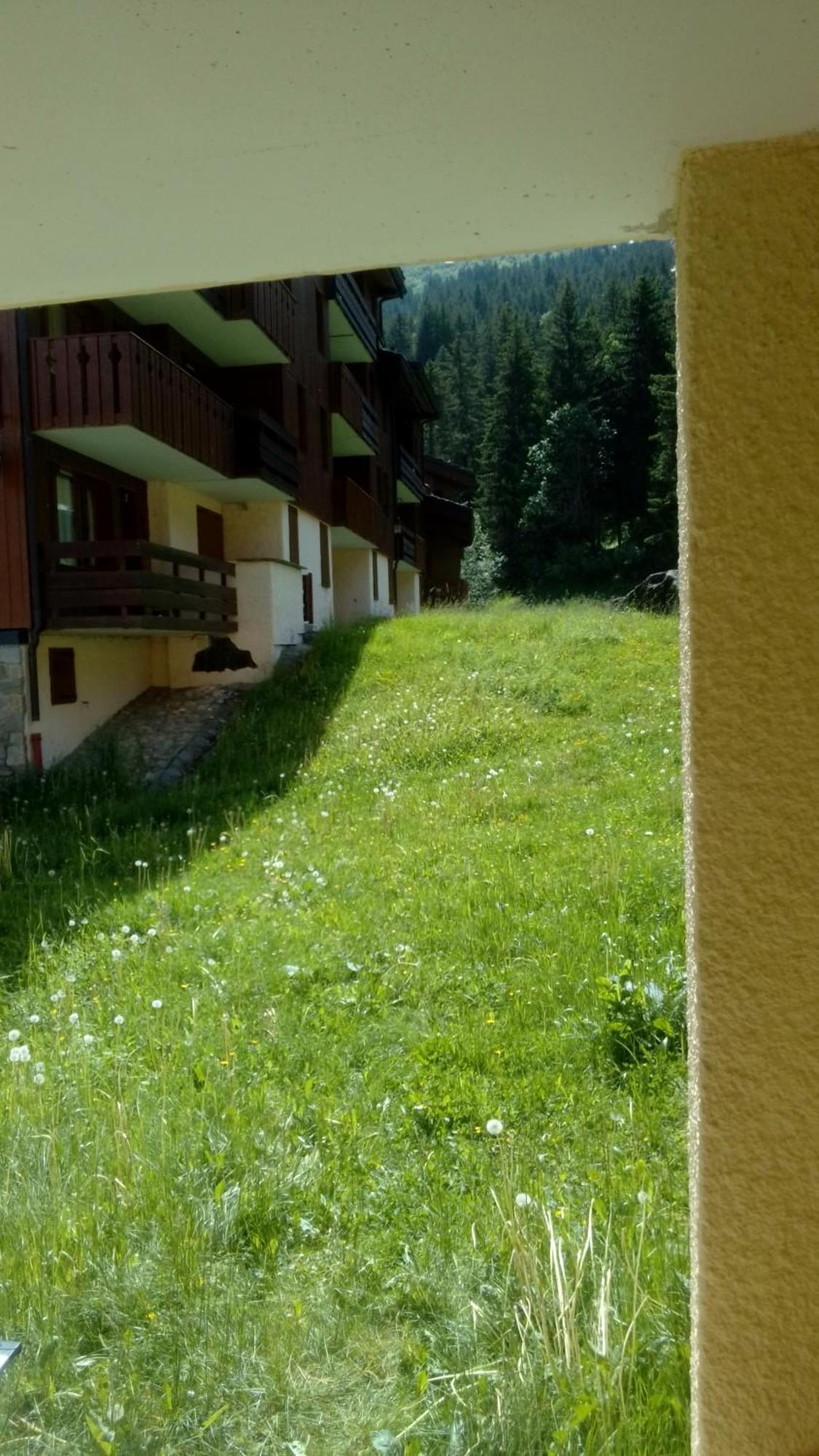 Appartement Au Pied Des Pistes 瓦尔莫雷尔 外观 照片